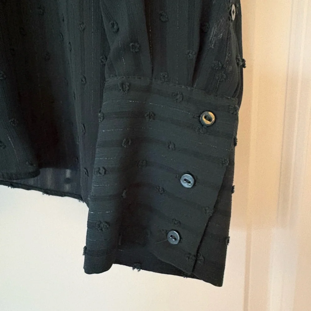 Zara Dark Teal Sheer Stripe Button-Down Blouse - NWOT - Picture 2 of 3
